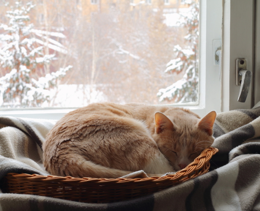 Winter sleeping sale