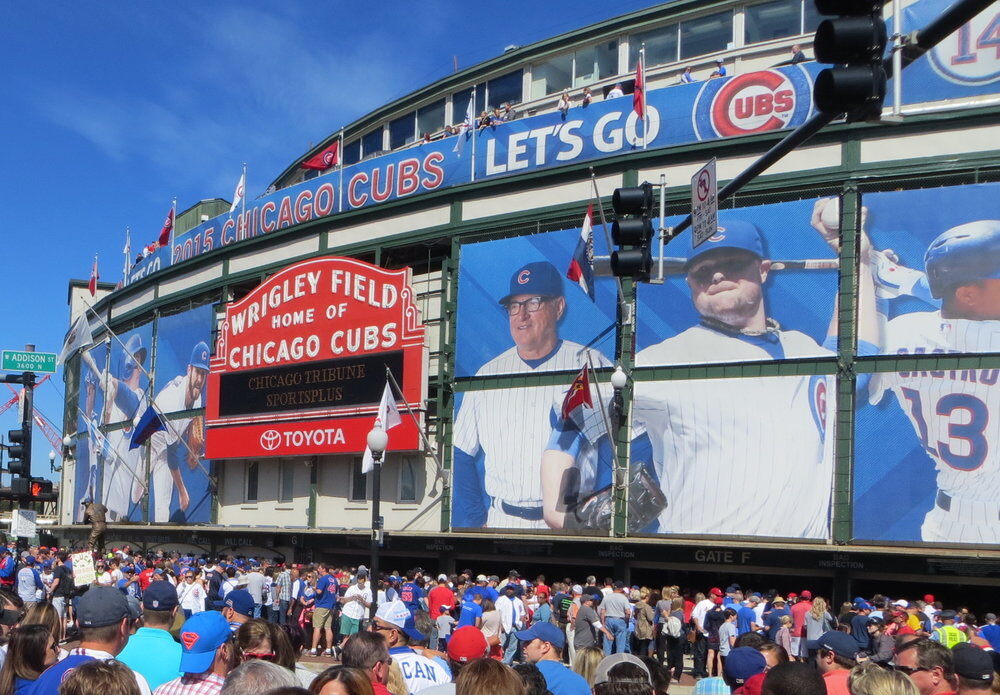 World champions! The Chicago Cubs turn to wearable sleep tech for edge in MLB pursuit 
