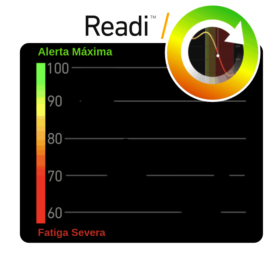 readi_curve_animated_es_transparent sp